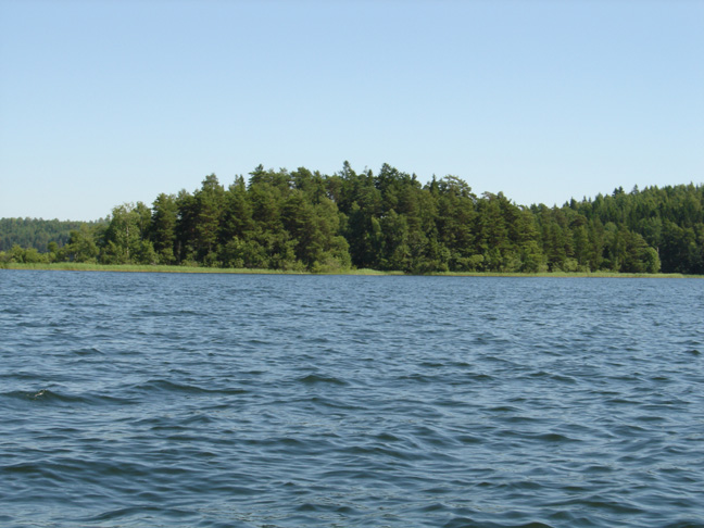 DSC00391
