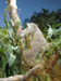 DSC00406